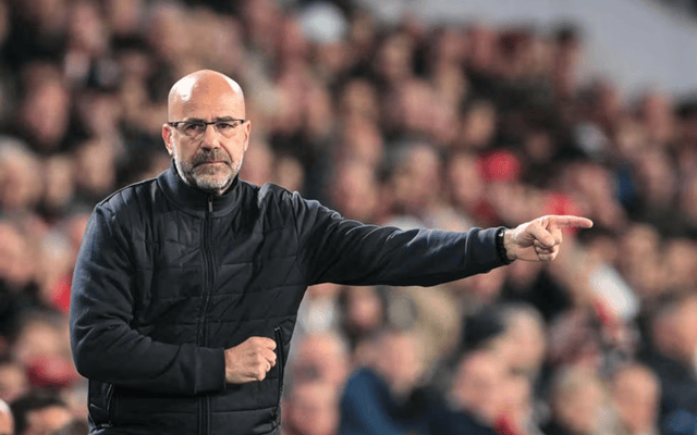 DB官网-包含巴黎顺利晋级欧冠半决赛，奥林匹亚科斯无能为力的词条