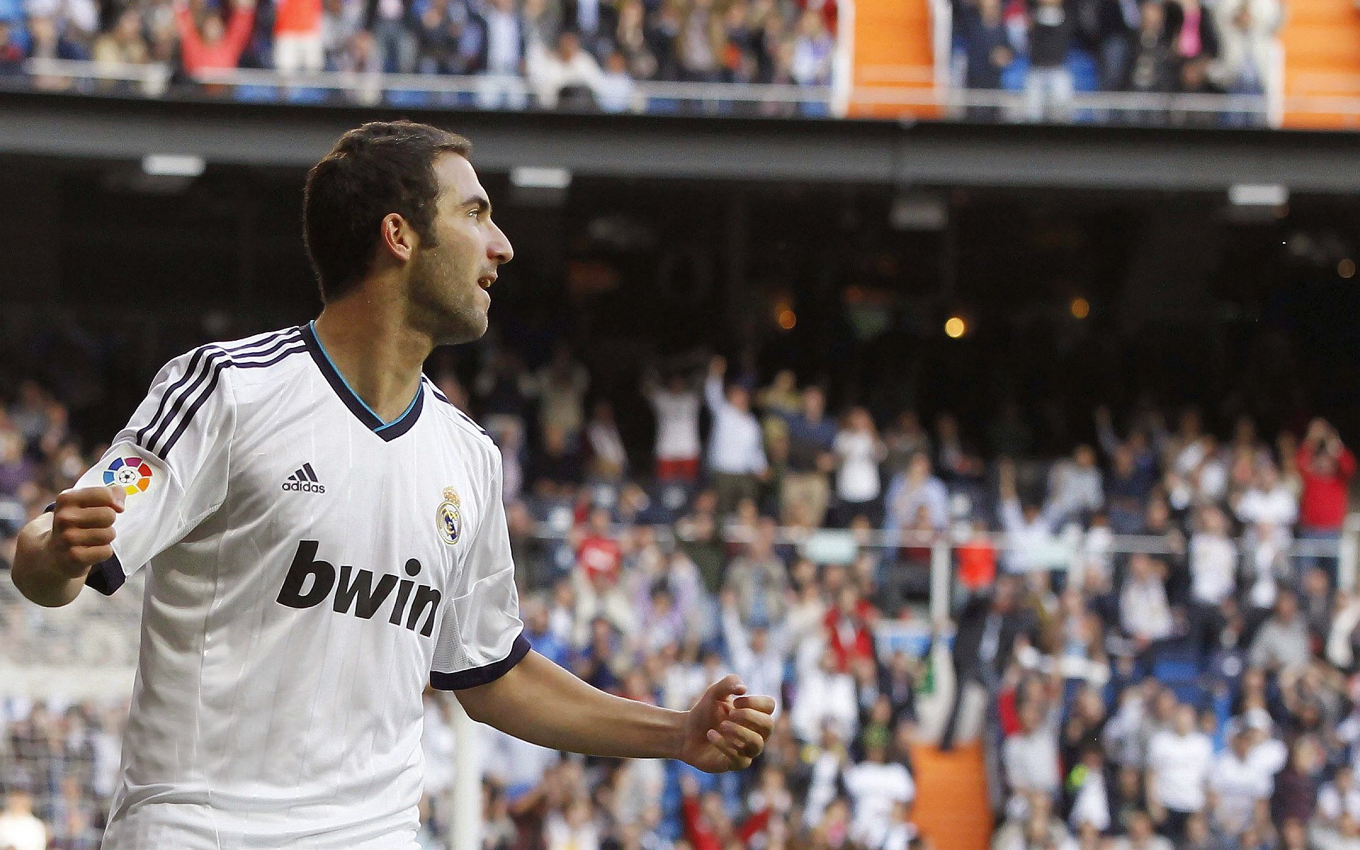 DB电竞竞猜入口-霍勒迪时刻，当平凡成为唯一，麦迪逊花园今夜只为一个名字沸腾